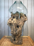 Glass & Teak Terrarium Vase Sculpture 32" - Routes Gallery
