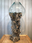 Glass & Teak Terrarium Vase Sculpture 33" - Routes Gallery