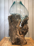 Glass & Teak Terrarium Vase Sculpture 31" - Routes Gallery