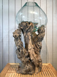Glass & Teak Terrarium Vase Sculpture 33" - Routes Gallery