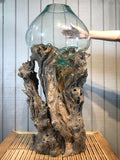 Glass & Teak Terrarium Vase Sculpture 33" - Routes Gallery