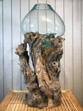 Glass & Teak Terrarium Vase Sculpture 33" - Routes Gallery