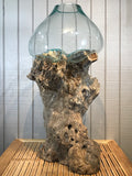 Glass & Teak Terrarium Vase Sculpture 32" - Routes Gallery