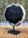 Petrified Wood Slice On Stand - Routes Gallery