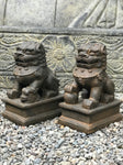 Foo Dog Lion Guardian Statue Pair 10" - Routes Gallery