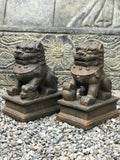 Foo Dog Lion Guardian Statue Pair 10" - Routes Gallery