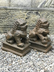 Foo Dog Lion Guardian Statue Pair 10" - Routes Gallery