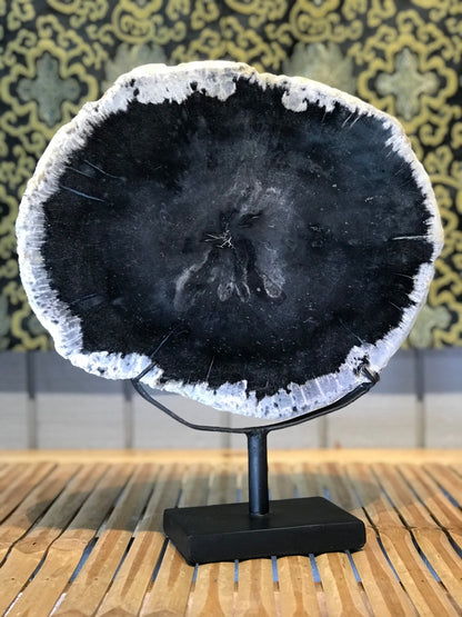 Petrified Wood Slice On Stand - Routes Gallery